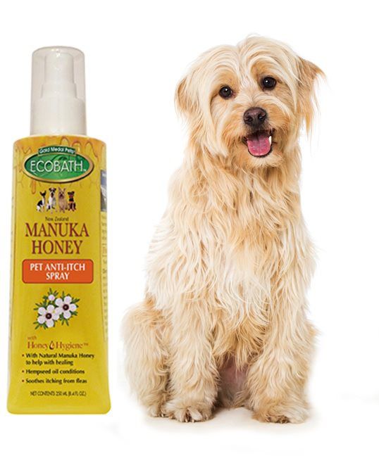 Organic Anti-itch Dog Spray
