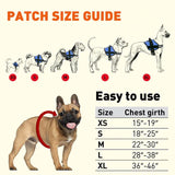 Service Dog Vest & Harness