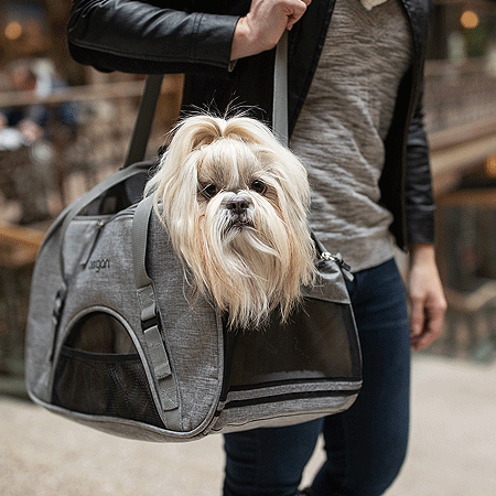 Bergan Comfort Dog Travel Carrier